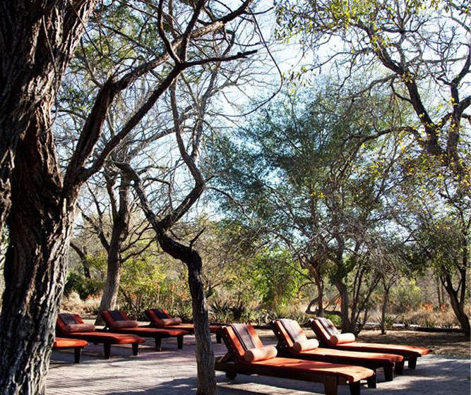 Hotel Chapungu Luxury Tented Camp 12