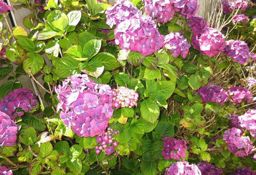 A Great View Bed & Breakfast 8