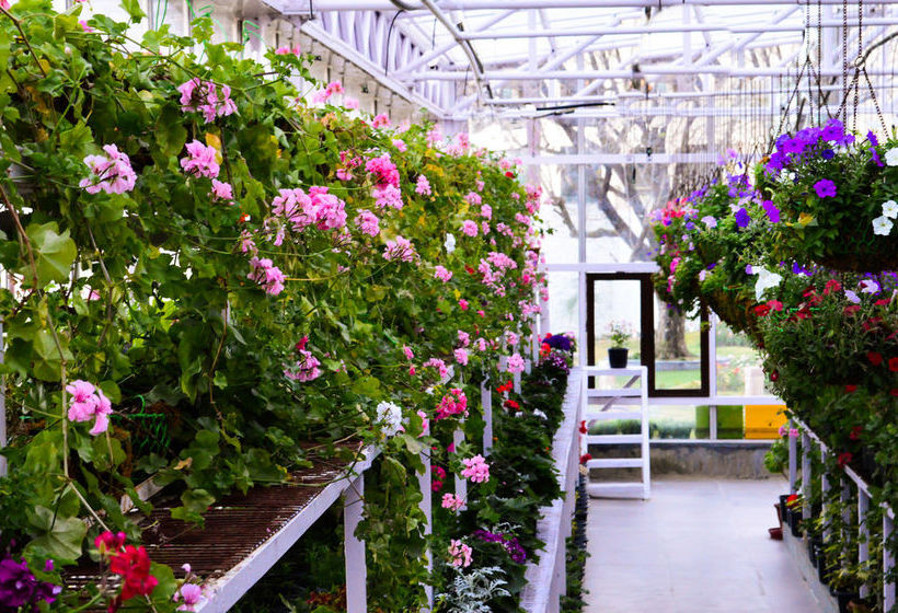 Hotel Jw Marriott Mussoorie Walnut Grove Resort & Spa 1