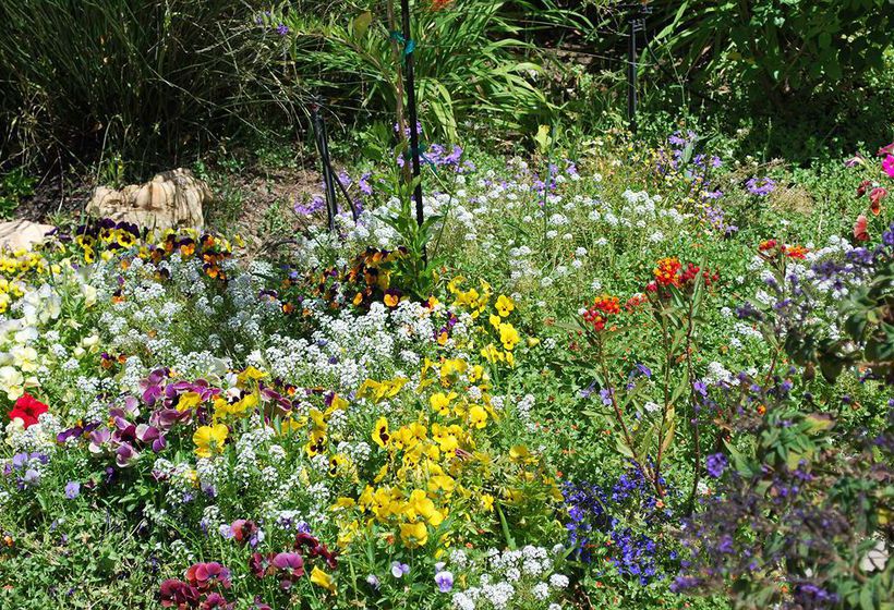 Hotel Kingna Lodge 1