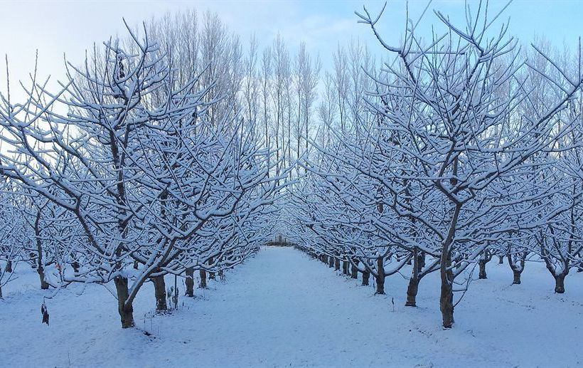 Hotel Terra Eterna Farm And Lodge 12