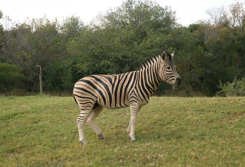 Gethlane Lodge Hotel & Spa 5