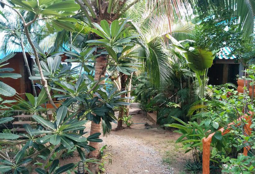 Hotel Koh Tao Beachside Resort 8