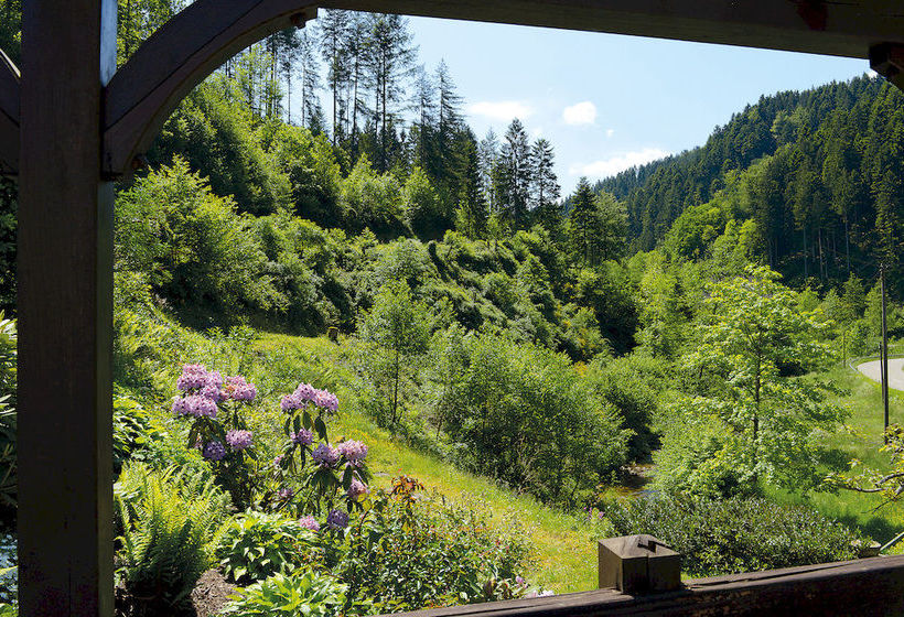 Hotel Gasthof Blume 13