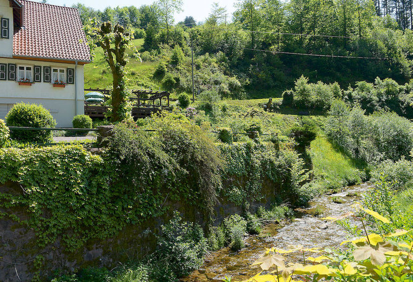 Hotel Gasthof Blume 14