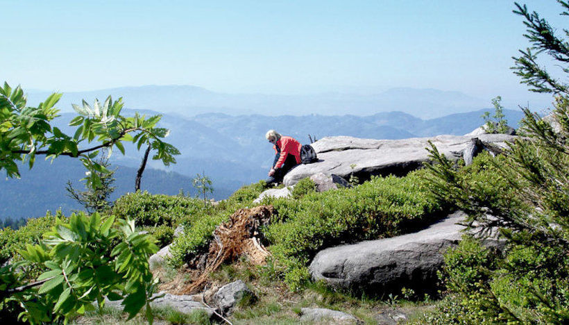 Hotel Gasthof Blume 4