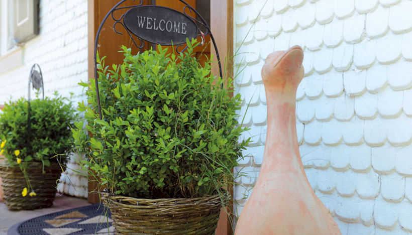 Hotel Gasthof Blume 6