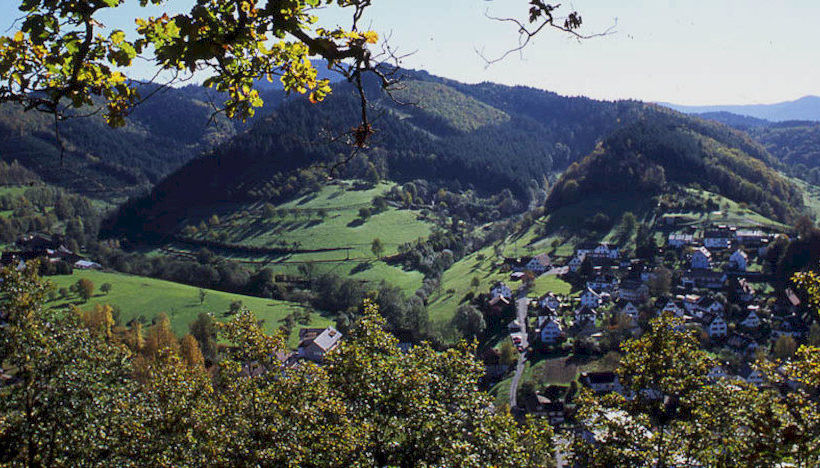 Hotel Gasthof Blume 8