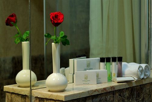 Hotel Green Leaves 17