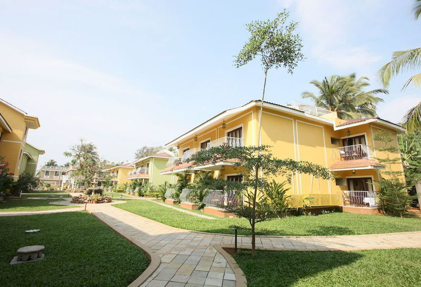 Acacia Palms Resort 17