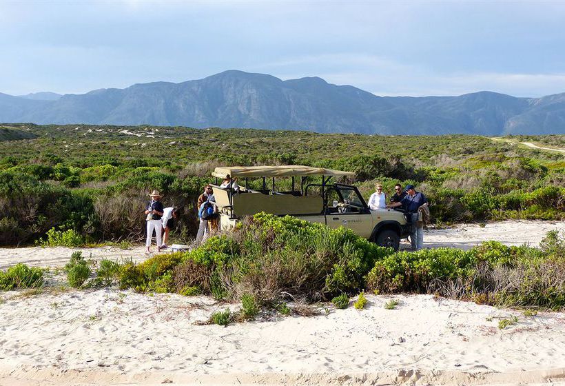 Mosaic Private Sanctuary 7