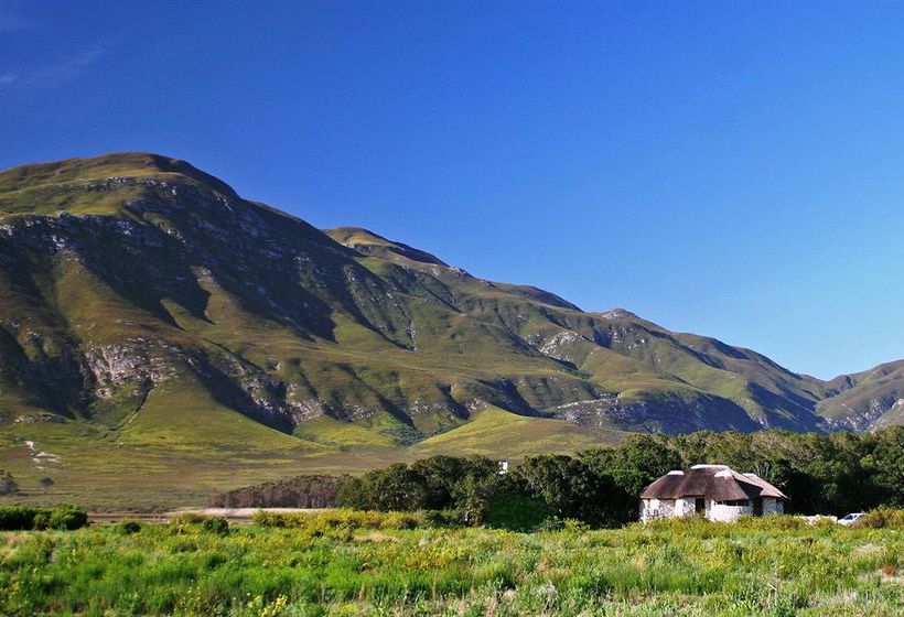 Mosaic Private Sanctuary 8