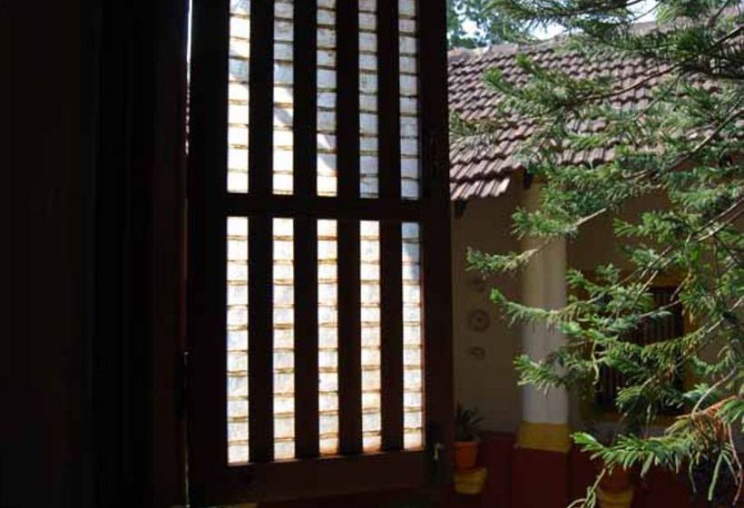 Hotel Bougainvillea Granpa''s Inn 11