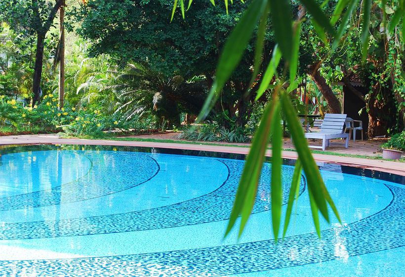 Hotel Bougainvillea Granpa''s Inn 2