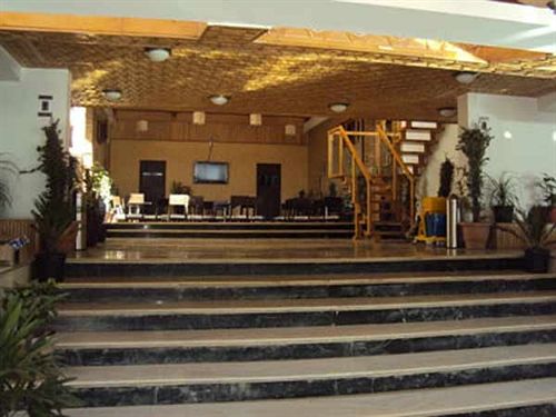 Hotel Pine Spring Wazir Bagh 9