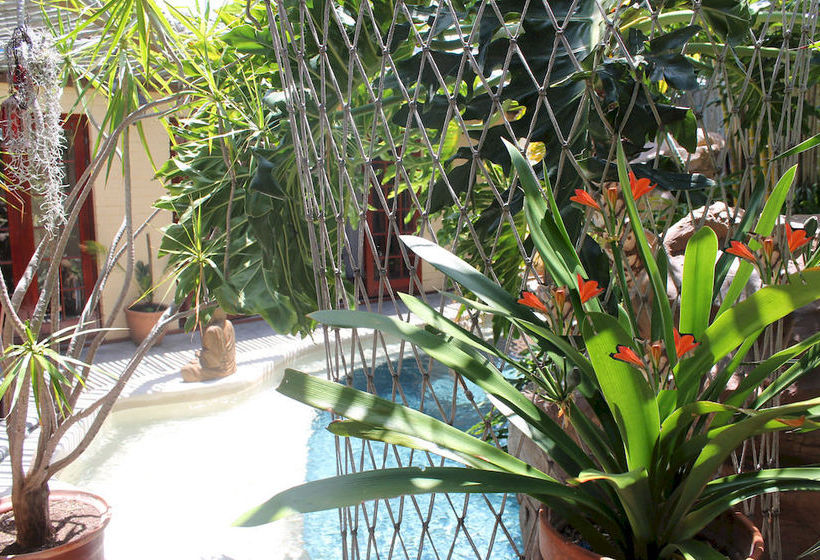 Pensión Goblin's Mead 19