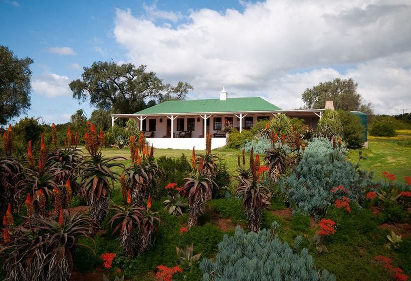 Amakhala Game Reserve - Leeuwenbosch Country House 16