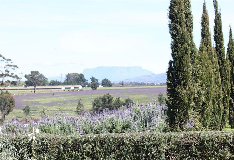 Pension Hawksmoor House 8