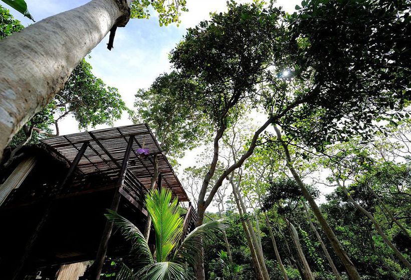 Sunwaree Phi Phi Resort 5