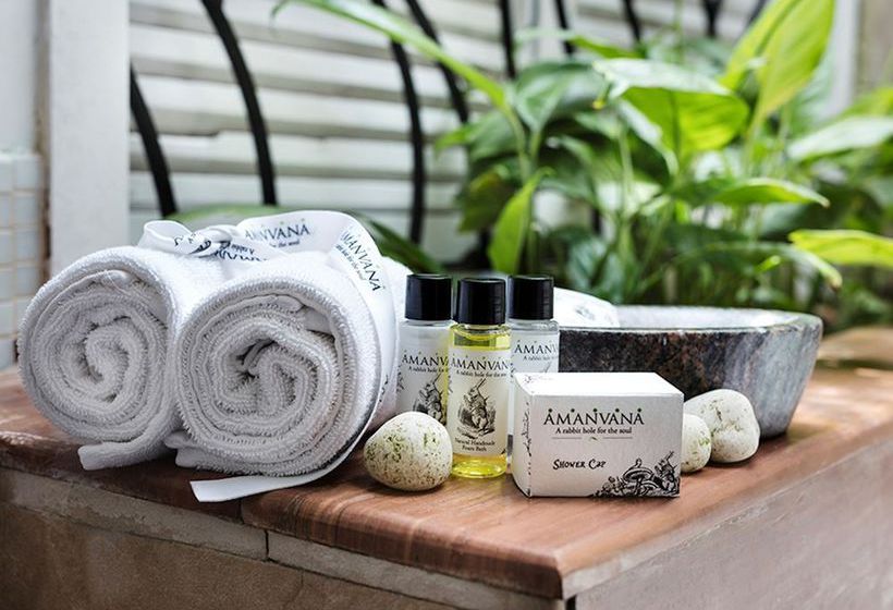 Amanvana Spa Resort 14