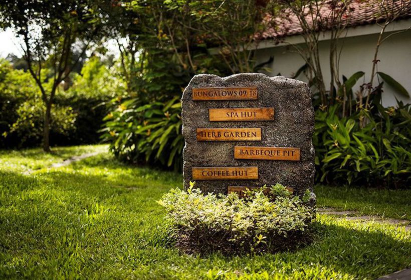 Amanvana Spa Resort 17