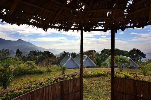 Hotel Ambady Estate 3