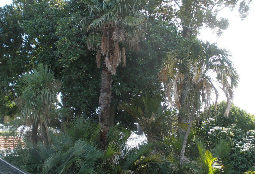 Pension Taiparoro Mansion Guesthouse 14