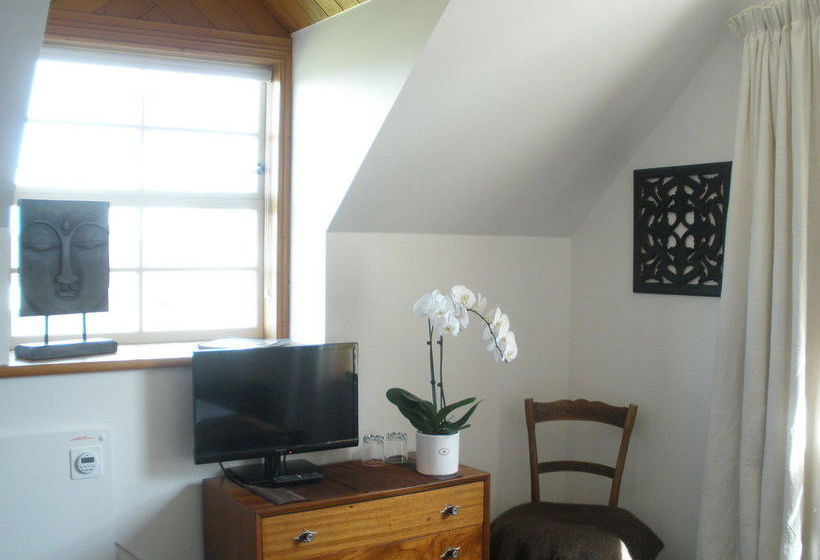 Pension Taiparoro Mansion Guesthouse 6