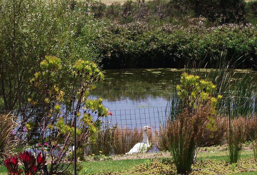 Pension Wind-rose Guest House 16