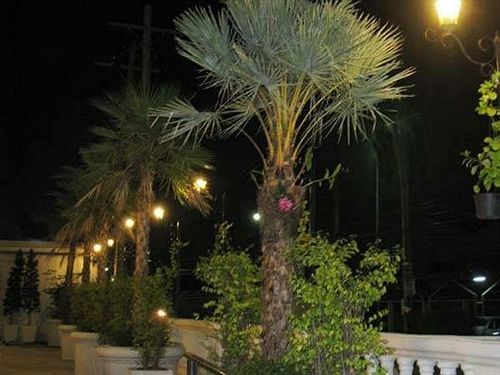 Hotel Rafael Mansion Bangkok Airport 15