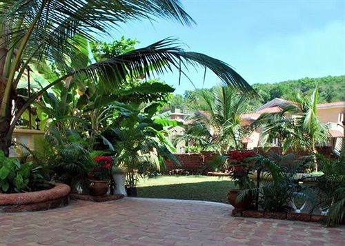 Pensión Bougainvillea Guest House 10