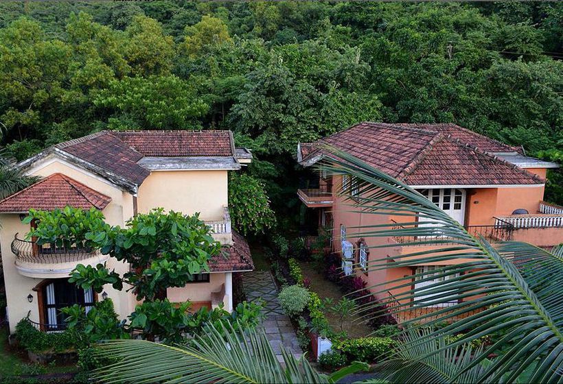 Pensión Bougainvillea Guest House 5