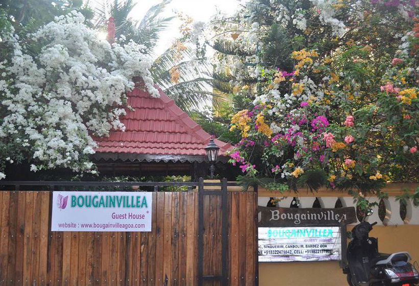 Pensión Bougainvillea Guest House 6