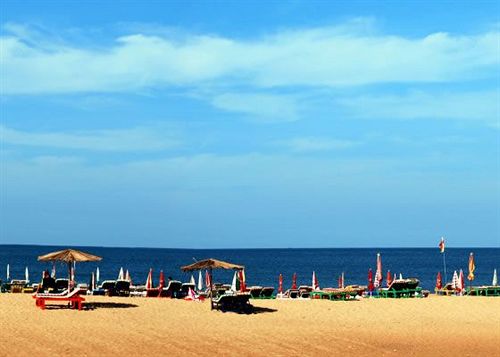 Pensión Bougainvillea Guest House 8