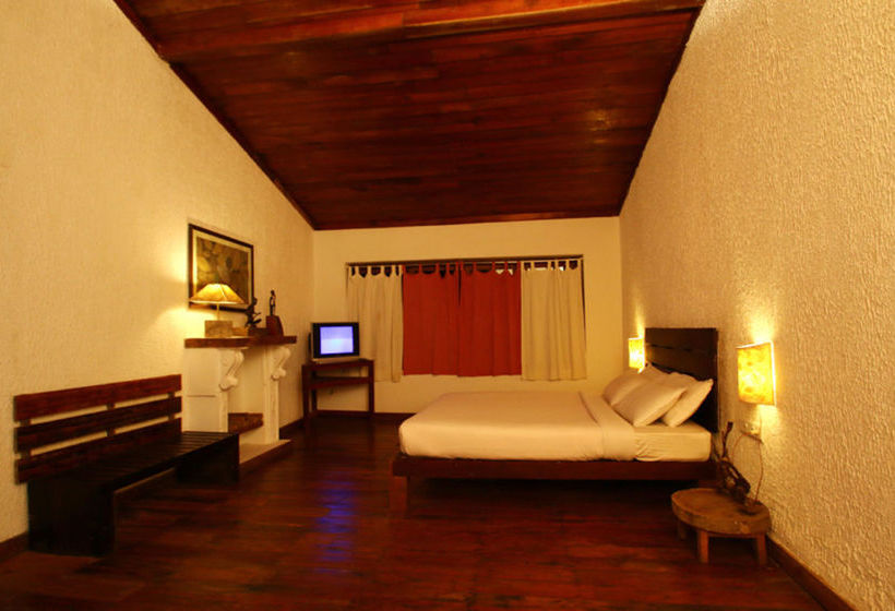 Bed and Breakfast Green Spaces Munnar 15