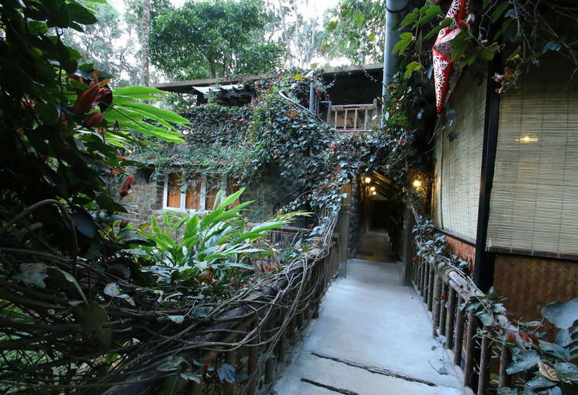 Bed and Breakfast Green Spaces Munnar 16