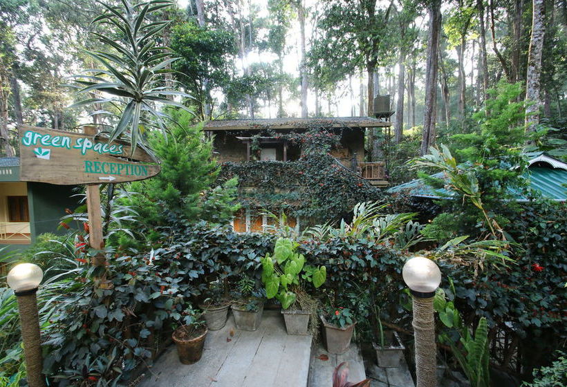 Bed and Breakfast Green Spaces Munnar 17