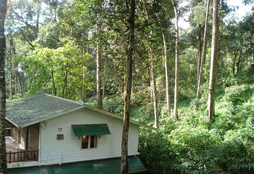 Bed and Breakfast Green Spaces Munnar 8