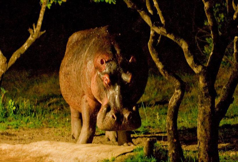 Hotel Makakatana Bay Lodge Kwazulu-Natal