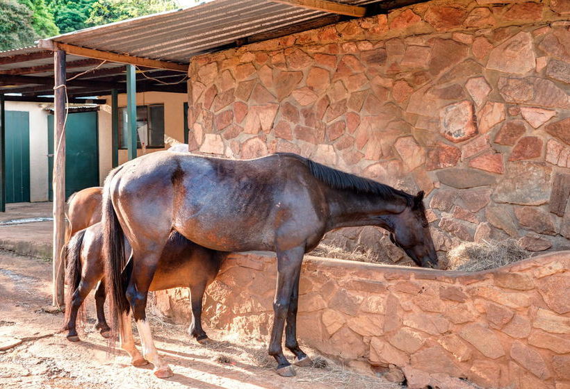 Hotel Hunters Rest 20