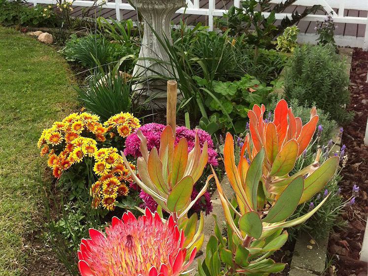 Bed and Breakfast Brenton Beach House 19