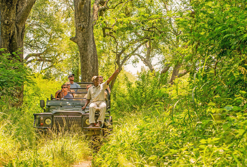 Hotel Shiduli Private Game Lodge 14