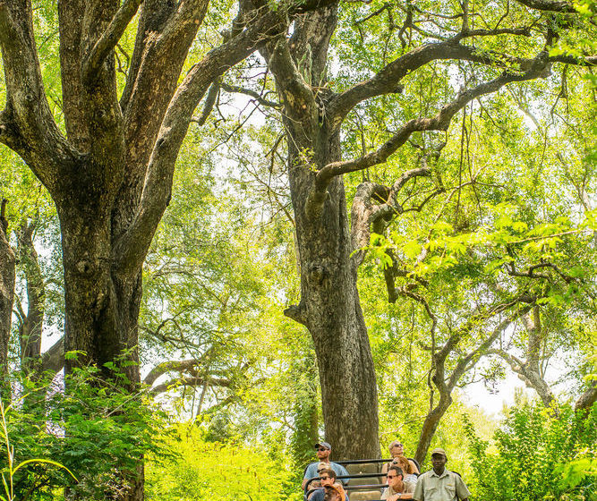 Hotel Shiduli Private Game Lodge 19