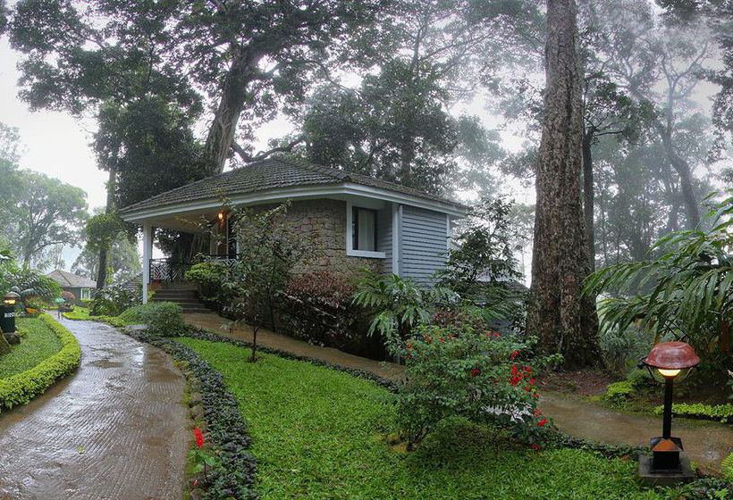 Resort The Tall Trees Munnar 1