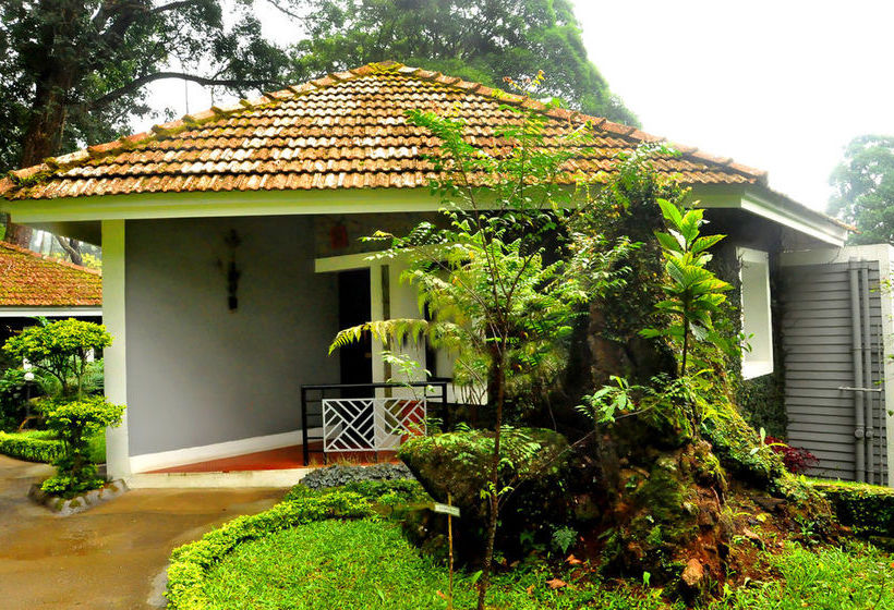 Resort The Tall Trees Munnar 11