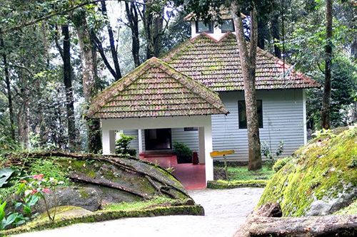 Resort The Tall Trees Munnar 19