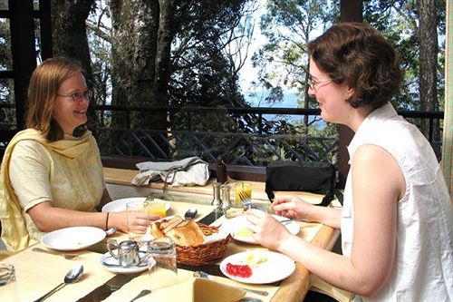 Resort The Tall Trees Munnar 20