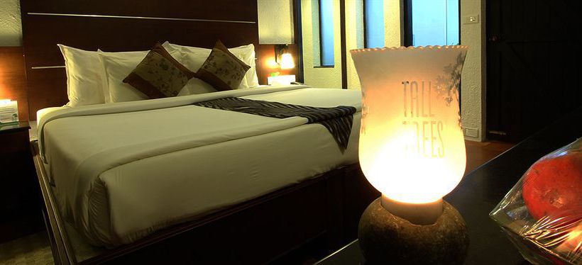 Resort The Tall Trees Munnar 4