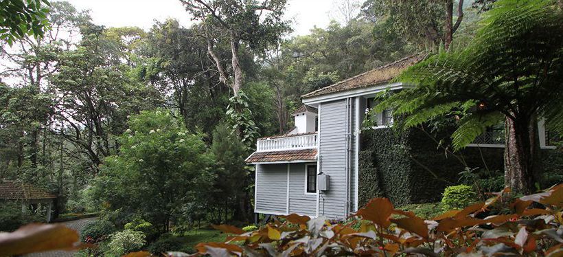 Resort The Tall Trees Munnar 6