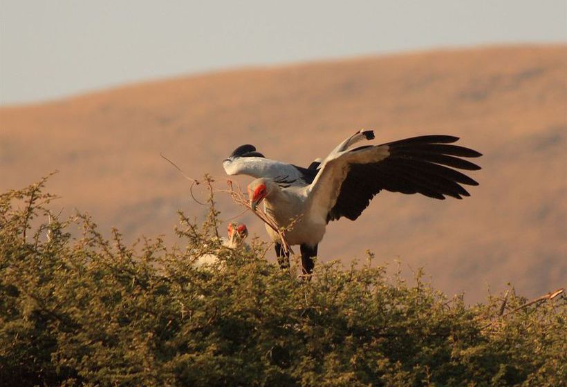 Hotel Nkomazi Game Reserve 10